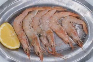 Gamba Blanca