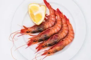 Gamba Roja