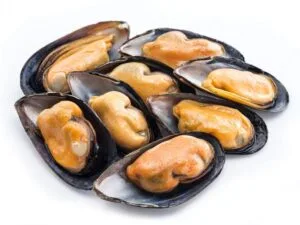 Mejillones - Por Ración